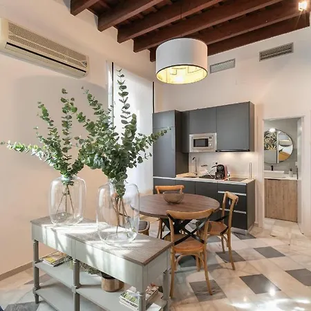 San Lorenzo Collection Homes - Space Maison Apartments Seville Exterior photo